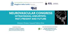 Neurovascular Congress, Turin - 21 April 2023